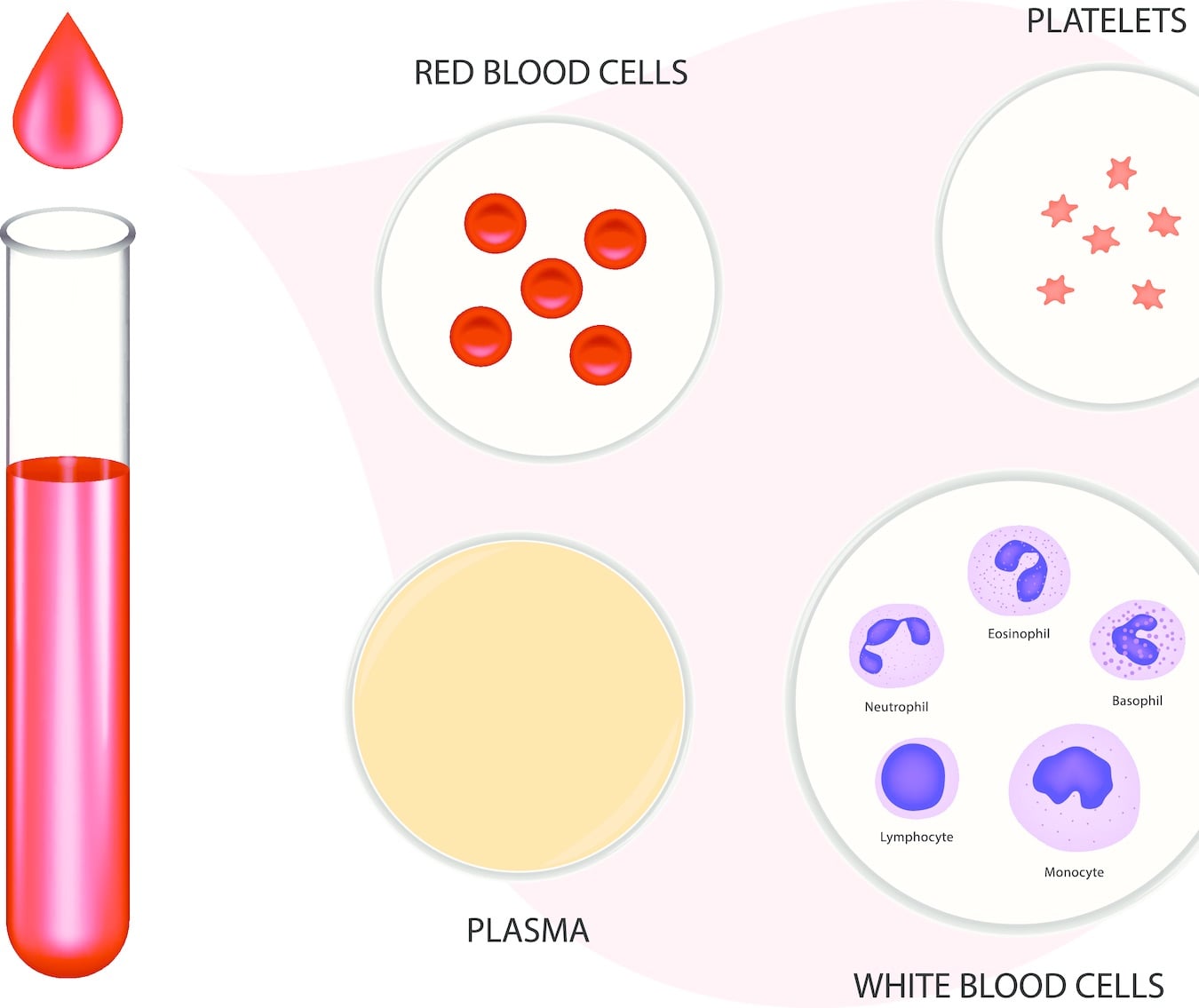 Platelet-Rich Plasma (PRP): Does It Regrow Hair? Maybe, Maybe Not.