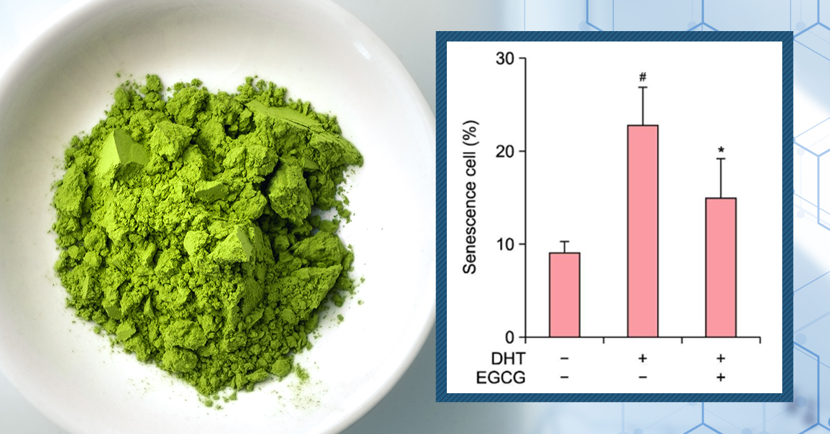 EGCG: Does This Polyphenol Regrow Hair? | A Scientific Analysis