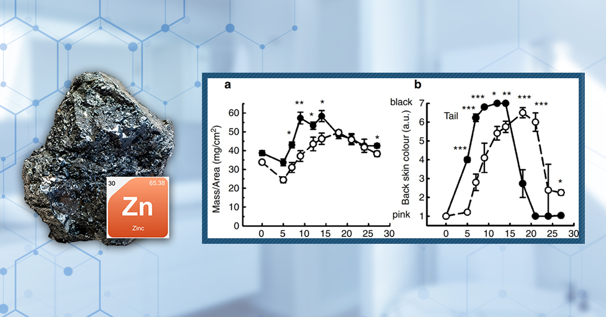 Zinc Supplements For Hair Loss: A Hard Look Into The Science