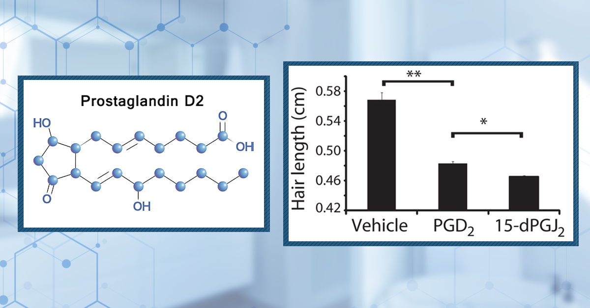 GPR44: Can This Gene Predict Hair Regrowth From PGD2 Inhibitors?