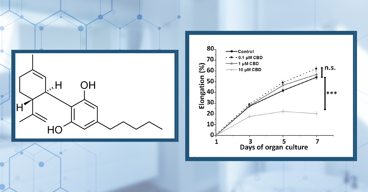 Cannabidiol (CBD) Increases Hair Counts By 246%? Not So Fast.